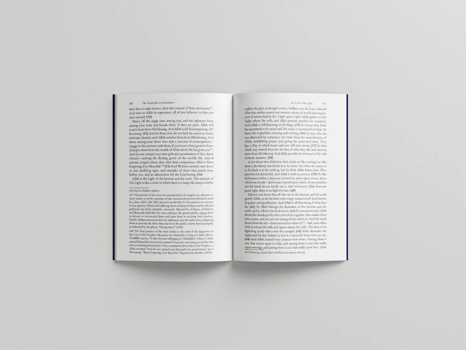 The Purple Quran Translation by Amr Abu Ayyub - Image 3