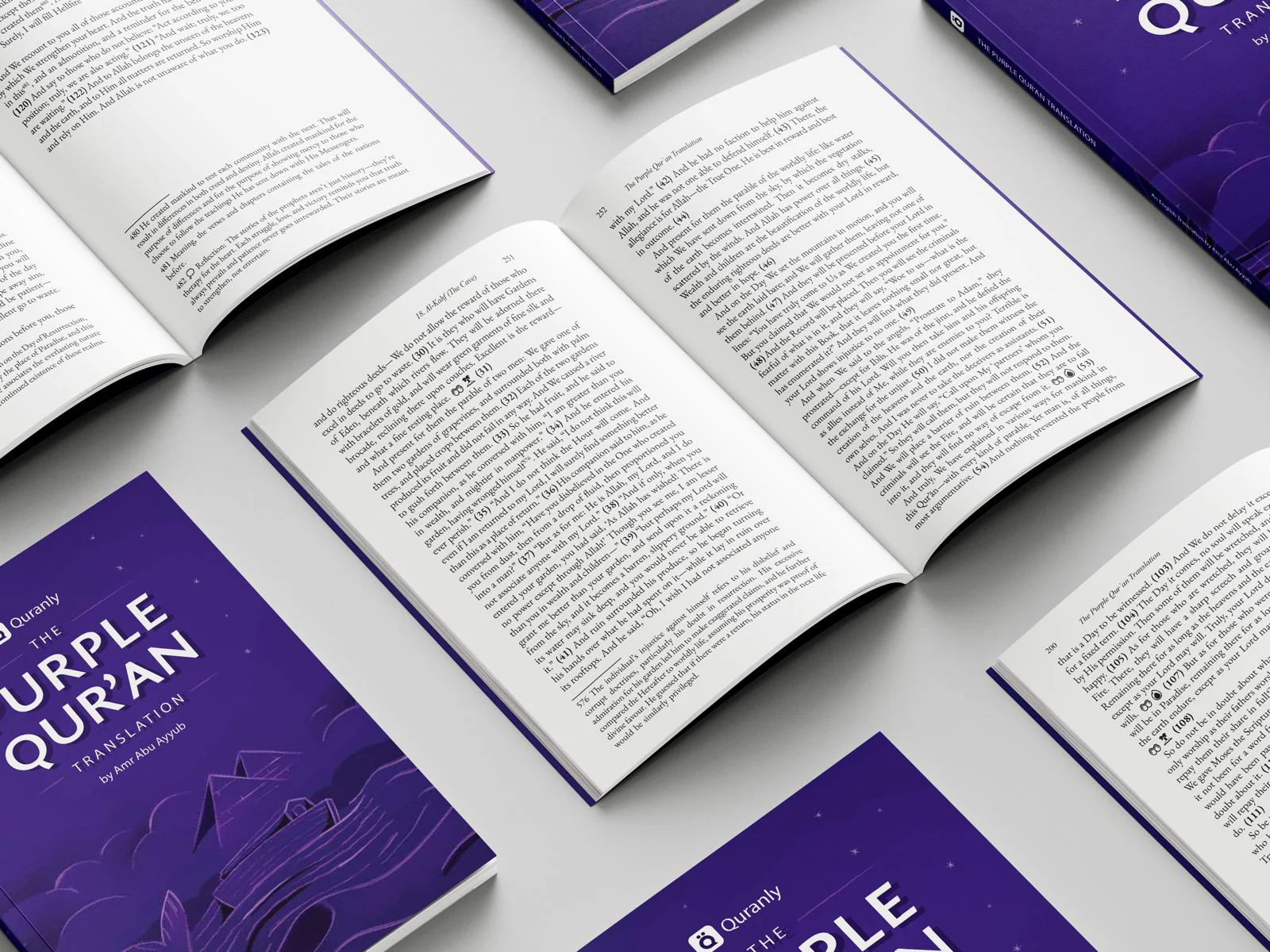 The Purple Quran Translation by Amr Abu Ayyub - Image 4